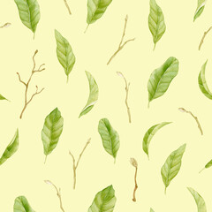 Magnolia watercolor pattern green leaves and.branches on pastel background.