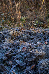 Frosty compost heap in the garden -  winter on the farm.