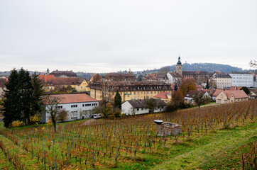 Fototapeta na wymiar Bamberg, world heritage city in Bavaria, located in upper Franconia, Germany. View from Michaelsberg to the church st. Jakob with the vineyard in the foreground. High quality photo