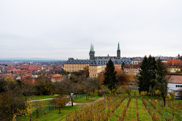 Fototapeta na wymiar Bamberg, world heritage city in Bavaria, located in upper Franconia, Germany. View from Michaelsberg to the famous bamberg cathedral with the vineyard in the foreground. High quality photo