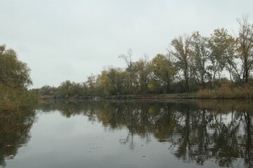 reflection of trees in the water