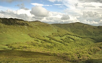 Polonina Carynska in the Bieszczady Mountains in spring. Bieszczady Poland. View of the green Bieszczady. Juicy green meadows and trees. Poland