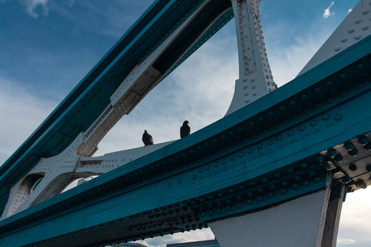 two birds on a structure in London 