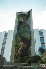 Lago de Atitl&aacute;n, Panajachel, Solol&aacute;