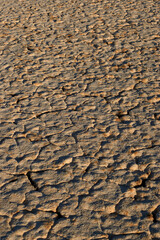La Ratosa lagoon dry due to lack of rain in the province of Malaga. Spain