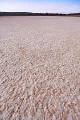 La Ratosa lagoon dry due to lack of rain in the province of Malaga. Spain