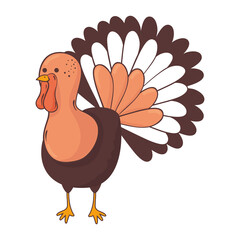 thanksgiving turkey animal character icon vector illustration design