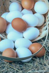 a lot of fresh chicken eggs in a straw basket on a background of hay. Healthy eating concept
