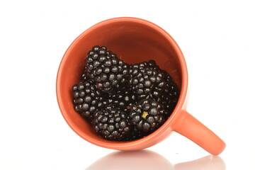 Organic blackberries, close-up, on a white background.