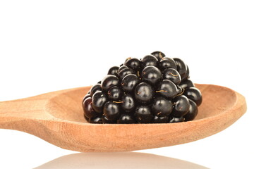 Organic blackberries, close-up, on a white background.