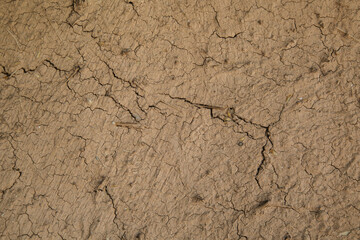 a wall of clay with the addition of hay, background and texture