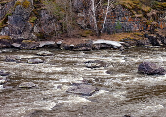 Fast river with rocky banks, overgrown with trees in the spring