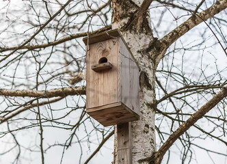 Bird house birdhouse made of wooden boards on birch close up in autumn against the gray sky