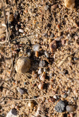 Sand. Sand close up. Stones of different different sizes on brown sand