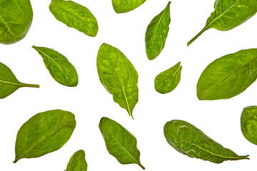 Plant pattern from spinach green natural organic leaves on a white background.