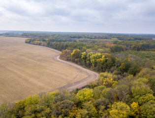 Agricultural plowed fields with yellow autumn woods on a cloudy day.