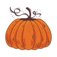 autumn pumpkin fruit seasonal isolated icon vector illustration design