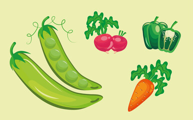 bundle of five vegetables set icons vector illustration design