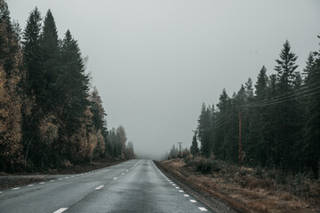 Foggy autumn road 