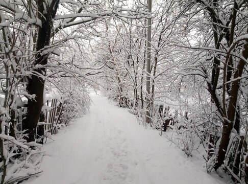 road covered with snow. Winter dorga through the village.