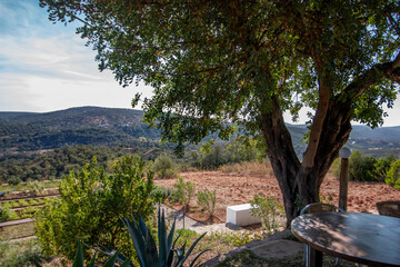 Beautiful outdoor garden on the hills