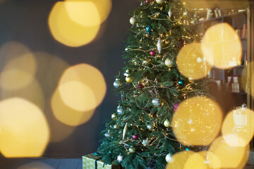 Christmas tree in dark interior