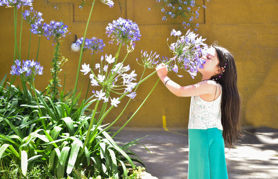 children playing and smelling flowers smiling smiling and enjoying a sunny day

