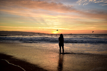 Naklejka premium joven disfruta un hermoso atardecer en la orilla del mar