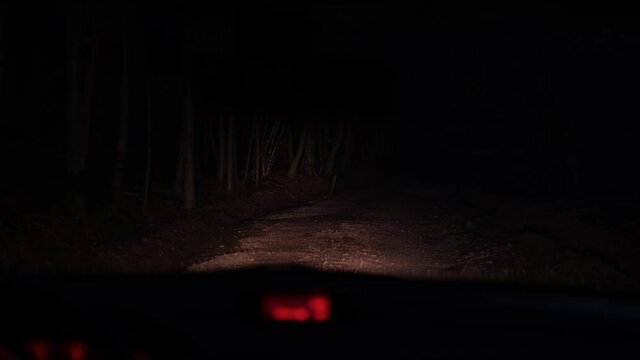 Evening drive on a bad rural road among trees and bushes in the light of the car headlights. In movement view from the car, driving wheel and colorful speedometer are visible. Lost in the wilderness.
