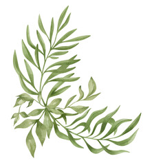Watercolor bouquet with green summer foliage, branches and leaves isolated on white. Gently modern composition, floral arrangements, wedding delicate flowers