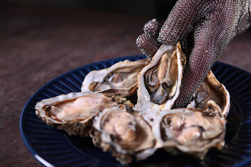 Blue plate with open fresh oysters. A gloved hand puts an oyster on a plate. Unrecognizable photo.Close up.