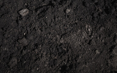 Chernozem, dark type of natural soil, texture