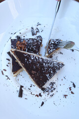 chocolate cake with milk