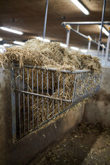 straw on the farm in metal cage