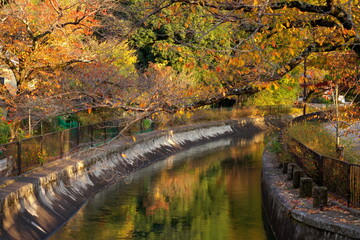 Kyoto,Japan-November 17, 2020: A canal connecting Lake Biwa and Kyoto city flowing in Yamashina area in autumn. 

