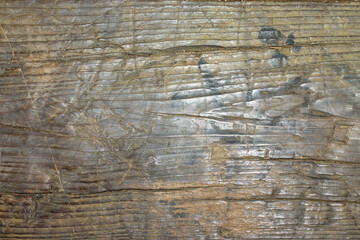 madera de tronco de árbol para poner mensajes