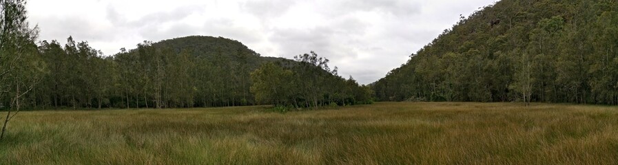 Beautiful panoramic view of a boardwalk hiking trail in the national park, Crosslands Reserve, Berowra Valley National Park, Sydney, New South Wales, Australia
