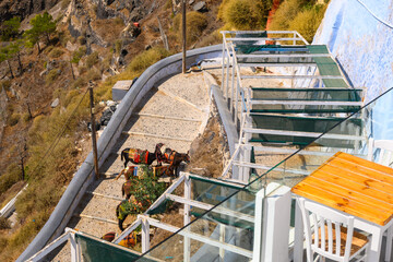 Donkey taxis in Fira on the Santorini Island. Cyclades, Greece
