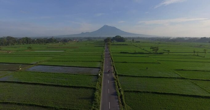 Landscape Indonesia Yogyakarta, Aerial agriculture in rice fields Merapi mountain view in the morning
