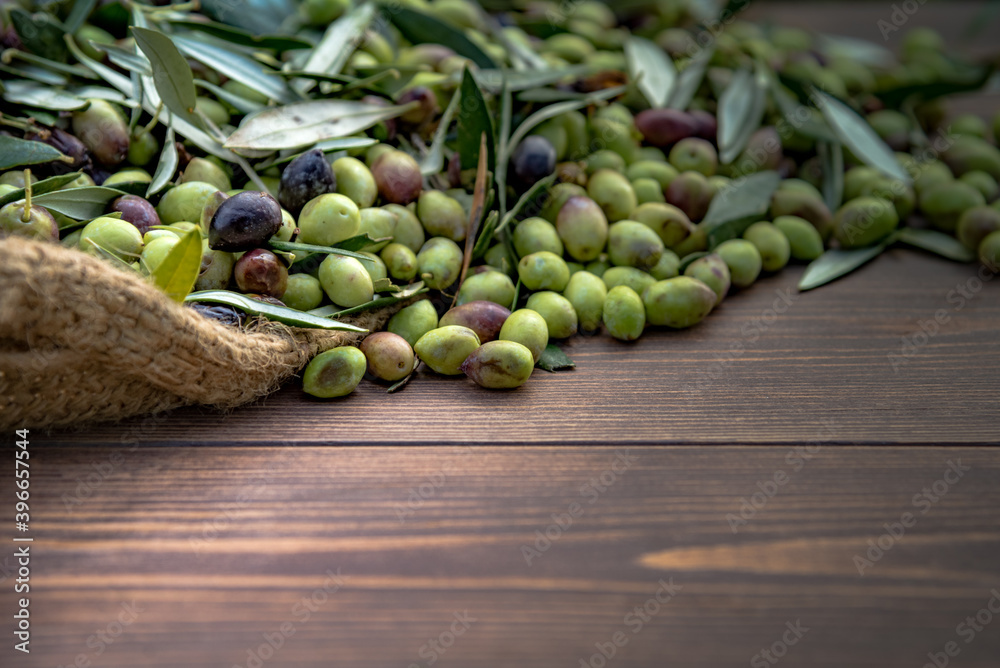 Wall mural Harvested fresh olives in sacks for olive oil production, on a wooden table, Crete, Greece