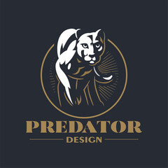 A puma or panther walks