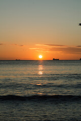 Waves at sunset, the Cold sea in the autumn