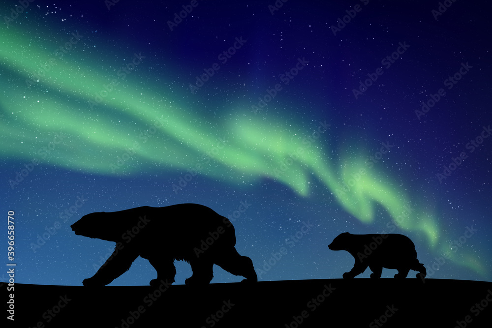 Poster polar bears walking at night. animal silhouette. green aurora borealis