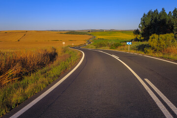 curvy road through farm fields