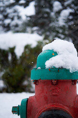 Snow-covered fire hydrant 