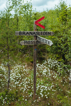 View of direction sign in forest