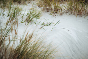 View of grass on beach