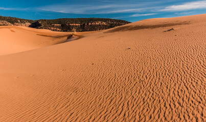 Wind Blown Sand Dunes With The Moquith Mountains In The Distance, Coral Pink Sand Dunes State Park, Utah, USA
