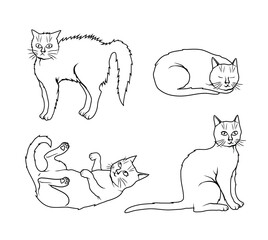 set of cat illustrations