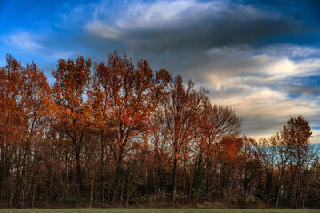 Obraz premium Natura